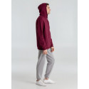Толстовка с капюшоном унисекс Hoodie, бордовая